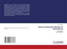Bookcover of Secret madrasah Sherdor in Samarkand