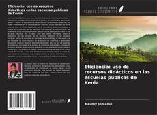 Buchcover von Eficiencia: uso de recursos didácticos en las escuelas públicas de Kenia