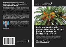 Copertina di Embrión somático de palmera datilera in vitro a partir de cultivo de suspensión celular