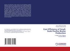 Bookcover of Cost Efficiency of Small-Scale Poultry Broiler Production