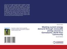 Copertina di Meeting current energy demand through renewable energy sources in GomaGoma, North Kivu Community