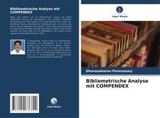 Bibliometrische Analyse mit COMPENDEX kitap kapağı