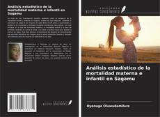 Copertina di Análisis estadístico de la mortalidad materna e infantil en Sagamu