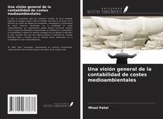 Una visión general de la contabilidad de costes medioambientales kitap kapağı