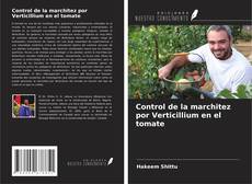 Control de la marchitez por Verticillium en el tomate kitap kapağı