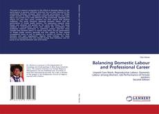 Capa do livro de Balancing Domestic Labour and Professional Career 
