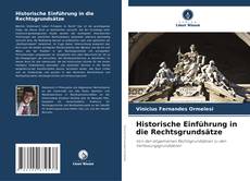 Borítókép a  Historische Einführung in die Rechtsgrundsätze - hoz