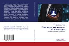 Borítókép a  Человеческий капитал в организации - hoz