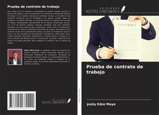 Copertina di Prueba de contrato de trabajo