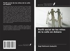 Copertina di Perfil social de los niños de la calle en Ankara