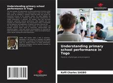 Bookcover of Understanding primary school performance in Togo