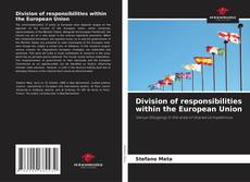 Bookcover of Division of responsibilities within the European Union