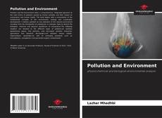 Copertina di Pollution and Environment