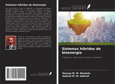 Copertina di Sistemas híbridos de bioenergía