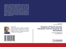 Bookcover of Analysis of food security situation and its impacts on Household