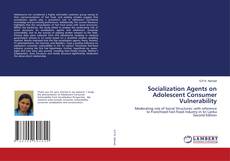 Socialization Agents on Adolescent Consumer Vulnerability的封面