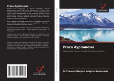 Bookcover of Praca dyplomowa