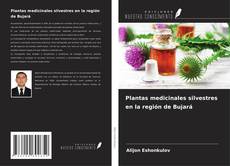 Buchcover von Plantas medicinales silvestres en la región de Bujará