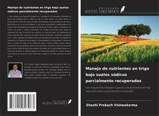 Buchcover von Manejo de nutrientes en trigo bajo suelos sódicos parcialmente recuperados