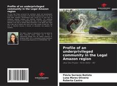 Обложка Profile of an underprivileged community in the Legal Amazon region