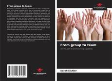 From group to team的封面