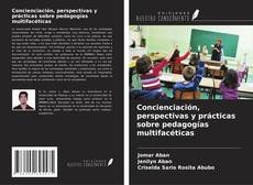 Buchcover von Concienciación, perspectivas y prácticas sobre pedagogías multifacéticas