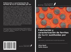 Copertina di Fabricación y caracterización de ferritas de Cu-Cr sustituidas por Zn