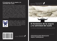 Обложка El fenómeno de la sequía y la salinidad del suelo