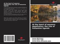 Copertina di At the heart of aqueous depollution: the role of histamine ligands