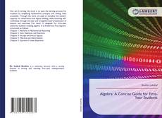 Algebra: A Concise Guide for First-Year Students kitap kapağı