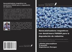 Couverture de Nanocatalizadores magnéticos con dendrímero PAMAM para la degradación de rodamina