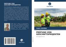 Capa do livro de PRÜFUNG VON GESCHÄFTSPROJEKTEN 
