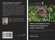 Buchcover von Efectos toxicológicos de un plaguicida protegido por Cynara cardunculus