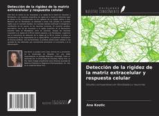 Capa do livro de Detección de la rigidez de la matriz extracelular y respuesta celular 