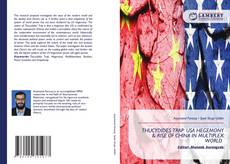 Couverture de THUCYDIDES TRAP: USA HEGEMONY & RISE OF CHINA IN MULTIPLEX WORLD