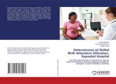 Bookcover of Determinants of Skilled Birth Attendant Utilization, Kapsabet Hospital