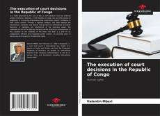 Bookcover of The execution of court decisions in the Republic of Congo