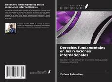 Buchcover von Derechos fundamentales en las relaciones internacionales