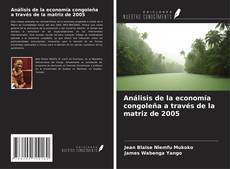 Análisis de la economía congoleña a través de la matriz de 2005 kitap kapağı