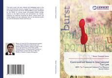 Copertina di Controversial Issues in International Tax Law