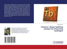 Обложка Terbium: Water Splitting catalyst for Powering hydrogen