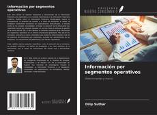 Capa do livro de Información por segmentos operativos 