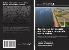 Capa do livro de Ordenación del espacio marítimo para la energía eólica marina 
