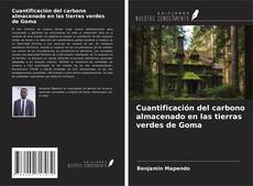 Buchcover von Cuantificación del carbono almacenado en las tierras verdes de Goma