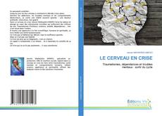 Bookcover of LE CERVEAU EN CRISE