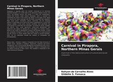 Borítókép a  Carnival in Pirapora, Northern Minas Gerais - hoz