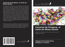 Buchcover von Carnaval de Pirapora, al norte de Minas Gerais