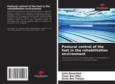 Buchcover von Postural control of the feet in the rehabilitation environment