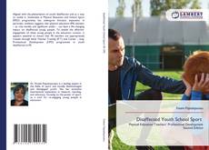 Bookcover of Disaffected Youth School Sport