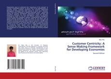 Capa do livro de Customer Centricity: A Sense Making Framework for Developing Economies 